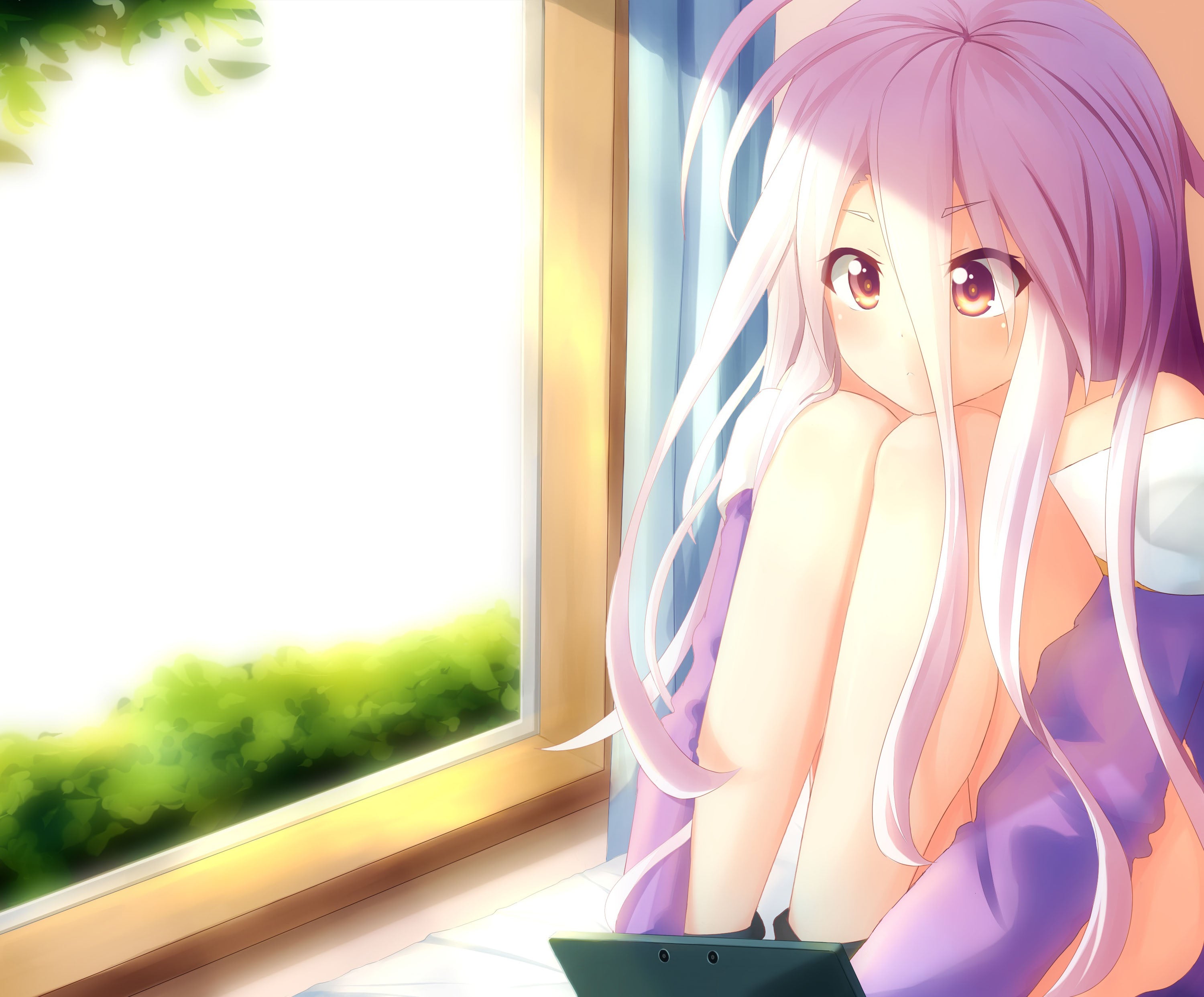 No Game No Life 001