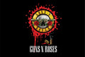 Guns N' Roses 011 - cuadro decorativo en canvas