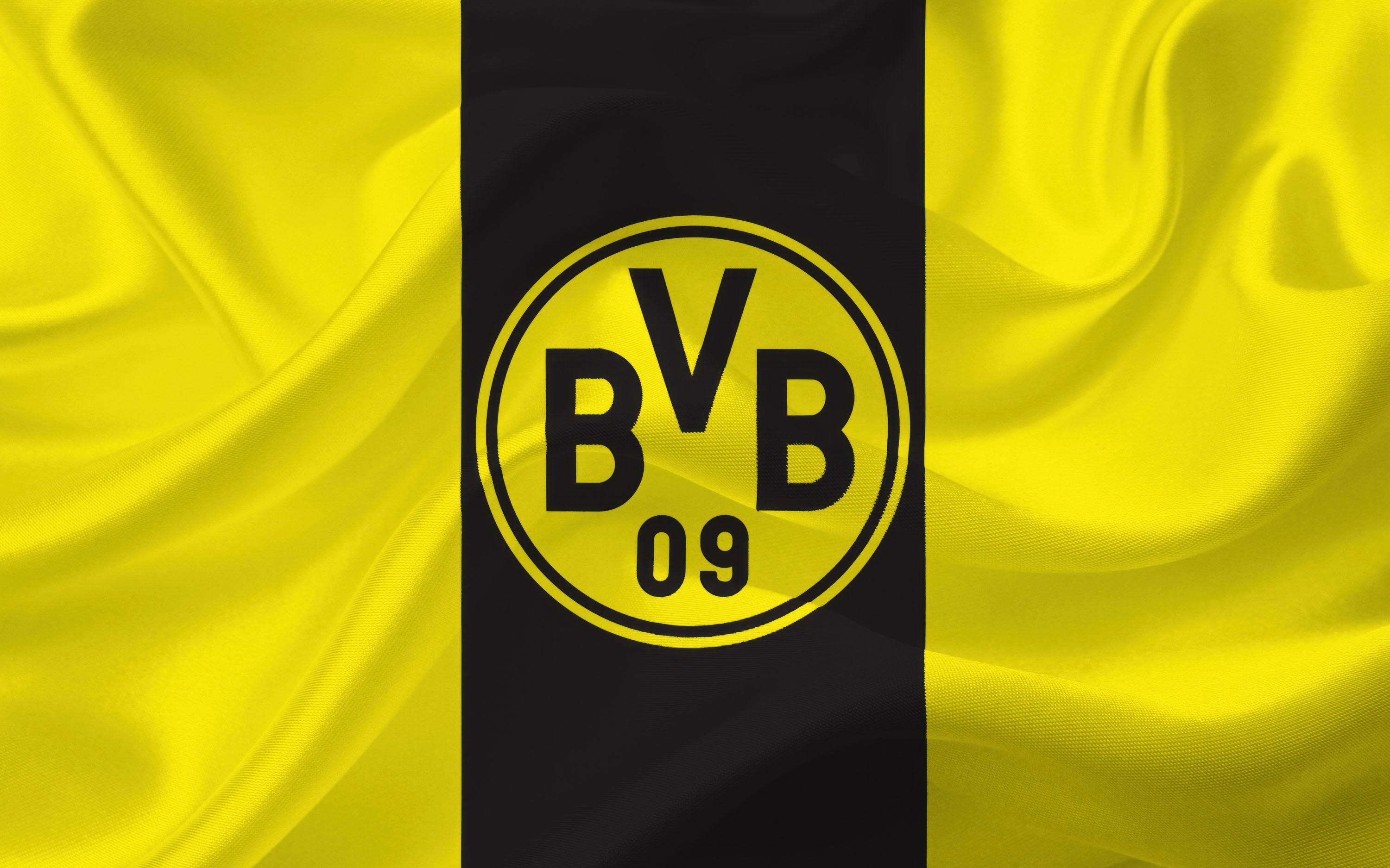 Borussia Dortmund 008 - cuadro decorativo en canvas