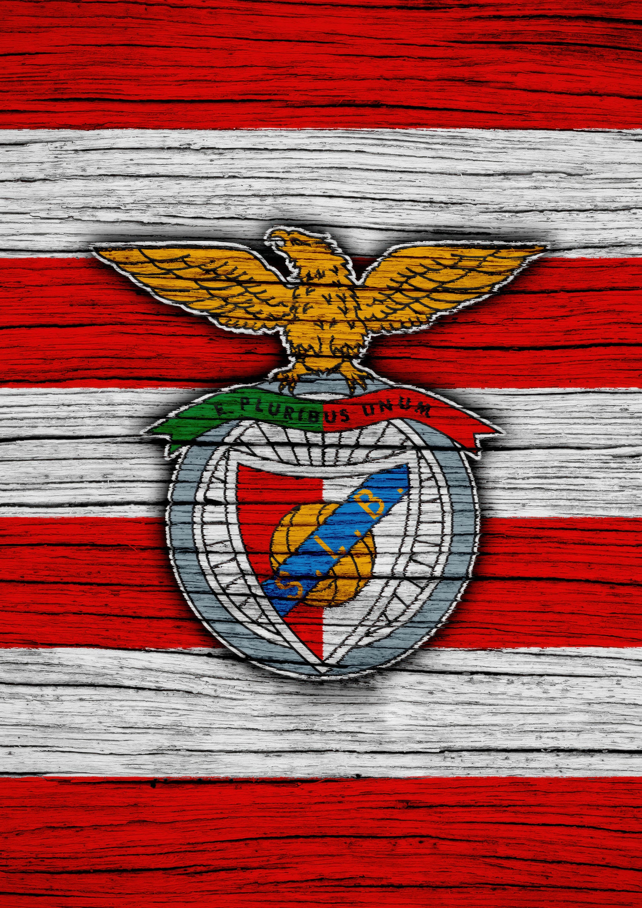 Benfica 004 - cuadro decorativo en canvas