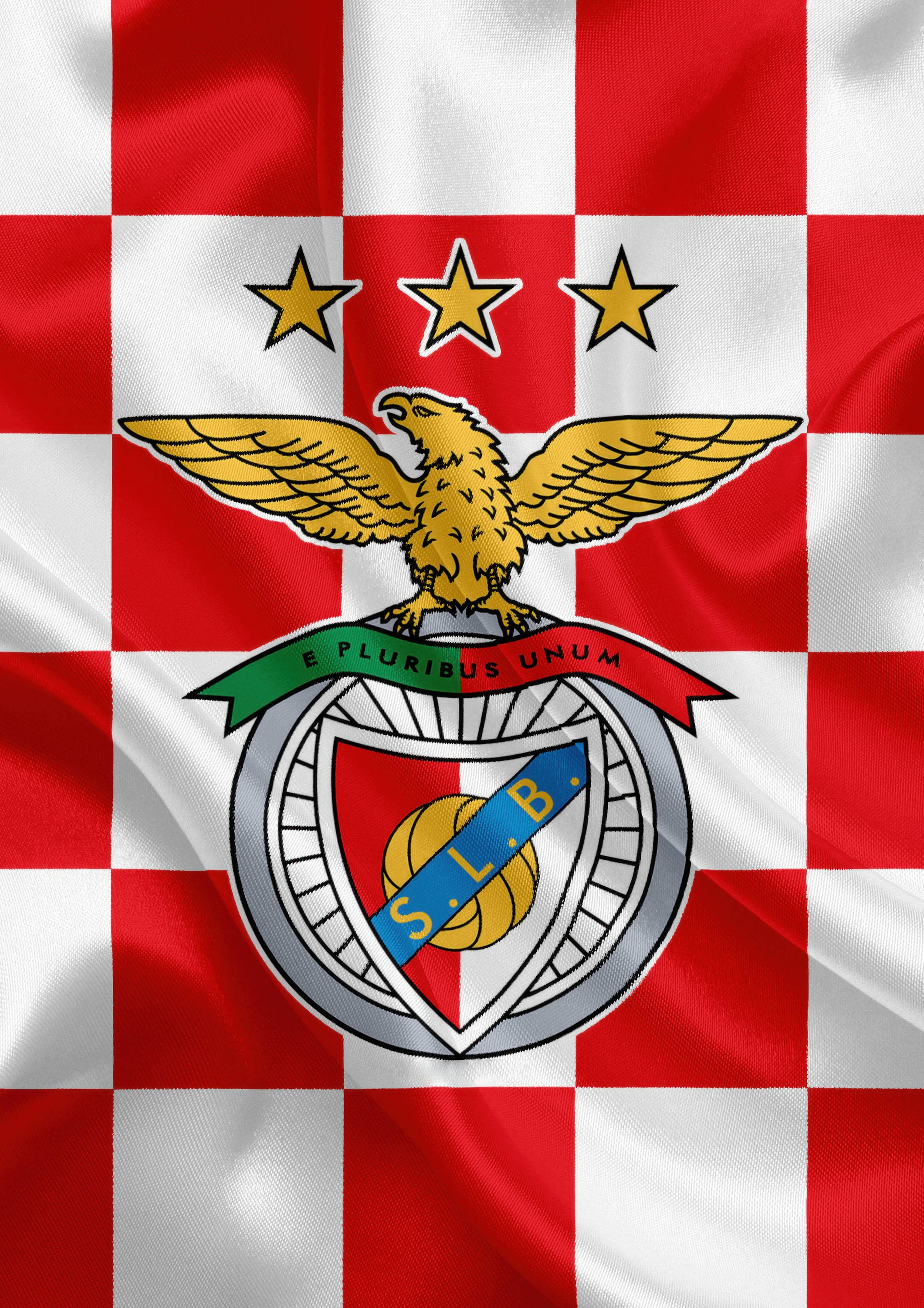 Benfica 001 - cuadro decorativo en canvas